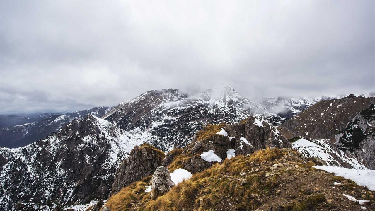 **冒泡网创社区：打造创新与合作的新平台**-冒泡网