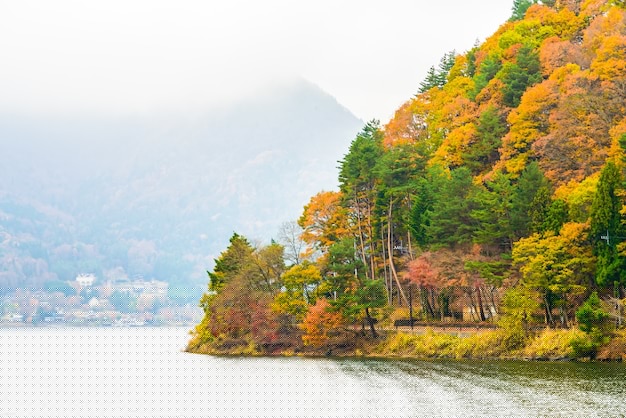 冒泡社区幻想三国攻略详解助你轻松上手游戏-冒泡网