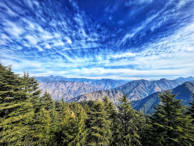 冒泡社区幻想三国攻略详解助你轻松上手游戏技巧-冒泡网