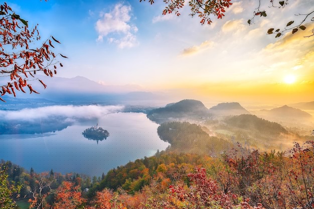 冒泡网游如何让创业者实现盈利与成功-冒泡网