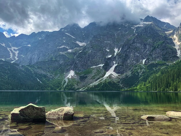 冒泡网游如何突破市场竞争实现利润最大化-冒泡网