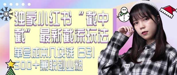 最新小红书截流玩法 独家截中截 单号成本几块钱 日引500+CY粉JZ粉-冒泡网