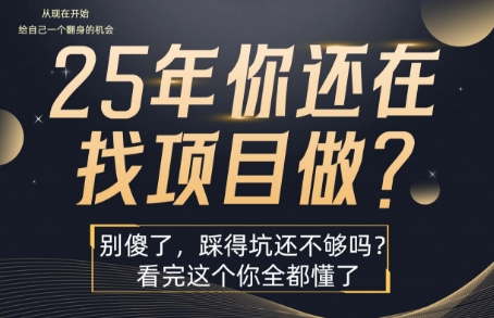 25年，你还在疯狂的找项目吗？别傻了，看完这个你都懂了【揭秘】-冒泡网