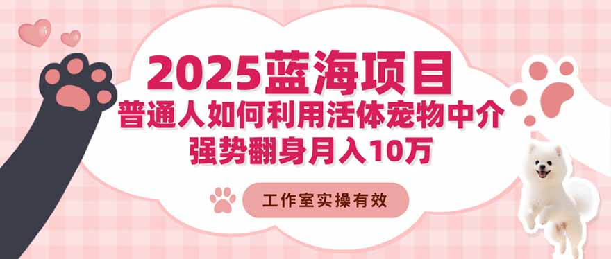 2025蓝海项目：普通人如何利用活体宠物中介，强势翻身月入10万-冒泡网