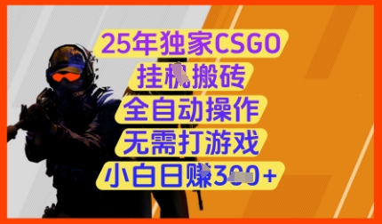 25年独家CSGO挂G搬砖，全自动操作，无需打游戏，小白日入3张+【揭秘】-冒泡网
