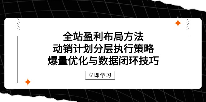 全站盈利布局方法：动销计划分层执行策略，爆量优化与数据闭环技巧-冒泡网
