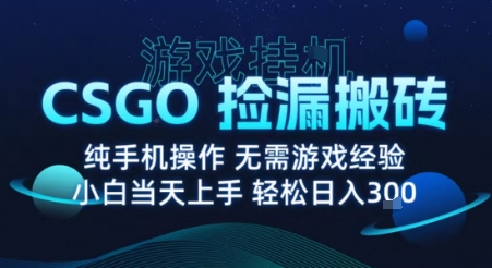 8月最新游戏搬砖，CSGO纯挂G，不需要玩游戏，实现真挂G，月入1W+【揭秘】-冒泡网