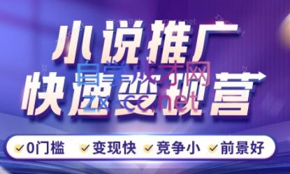 洲洲老师·小说推广快速变现营-冒泡网