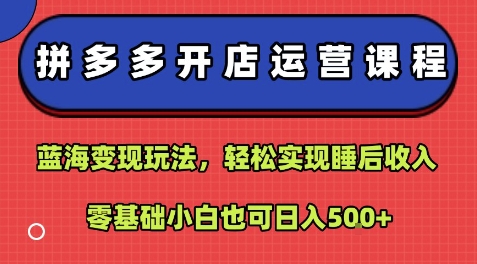 拼多多开店运营课程：蓝海变现玩法，轻松实现睡后收入，零基础小白也可日入5张-冒泡网