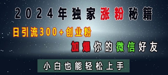 2024年独家涨粉秘籍，日引流300+创业粉，加爆你的微信好友，小白也能轻松上手-冒泡网