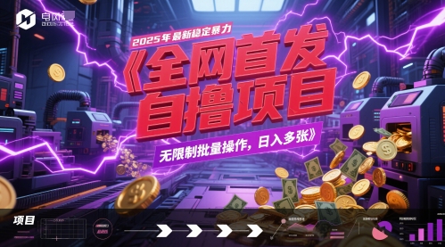 全网首发，2025年最新稳定暴力全自动自撸项目，无限制批量操作，日入多张【揭秘】-冒泡网