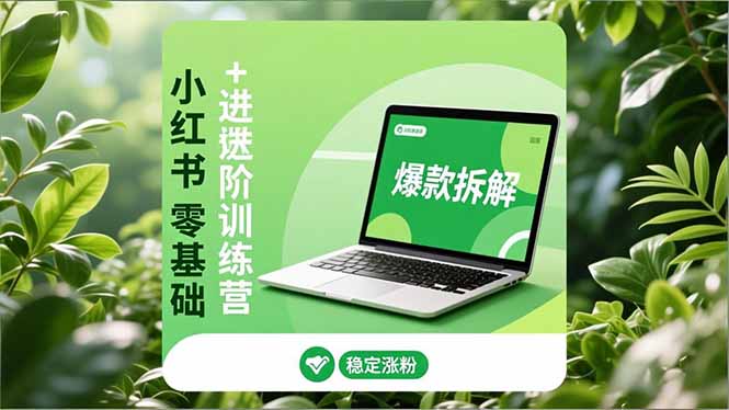 小红书零基础+高阶训练营：安全养号、爆款拆解、长效运营，实现稳定涨粉与变现-冒泡网