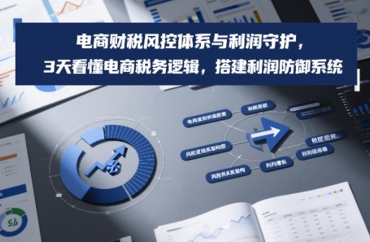 电商财税风控体系与利润守护，3天看懂电商税务逻辑，搭建利润防御系统-冒泡网