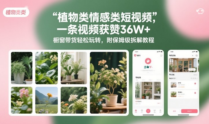 植物类情感类短视频，一条视频获赞36W+，橱窗带货轻松玩转，附保姆级拆解教程-冒泡网