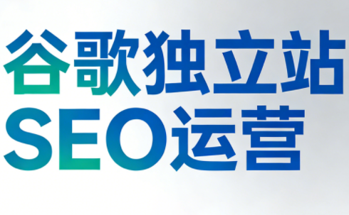 谷歌独立站SEO运营(更新2026)-冒泡网