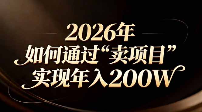 站在2026年的十字路口：一个普通人如何通过卖项目实现年入200万-冒泡网