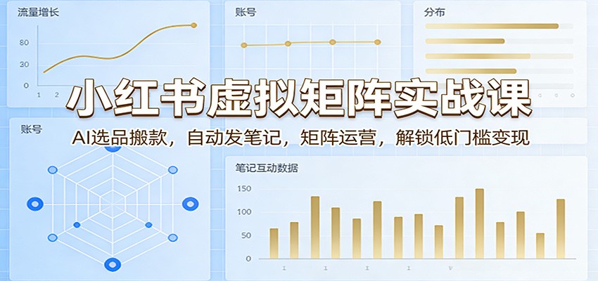 小红书虚拟矩阵实战课：AI选品搬款，自动发笔记，矩阵运营，解锁低门槛变现-冒泡网