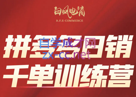 白凤电商·拼多多日销千单训练营(更新4月)-冒泡网