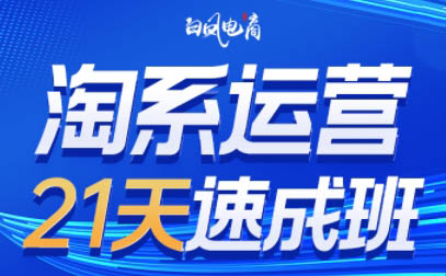 白凤电商·淘系运营21天速成班(更新4月)-冒泡网
