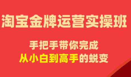 飓风电商·淘宝金牌运营实操班-冒泡网