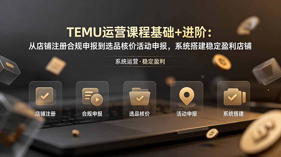 TEMU运营课程(基础+进阶-冒泡网