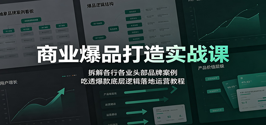 商业爆品打造实战课：拆解各行各业头部品牌案例，吃透爆款底层逻辑落地运营教程-冒泡网