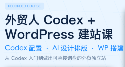 大卫·外贸人Codex + WordPress建站课(更新8月)-冒泡网
