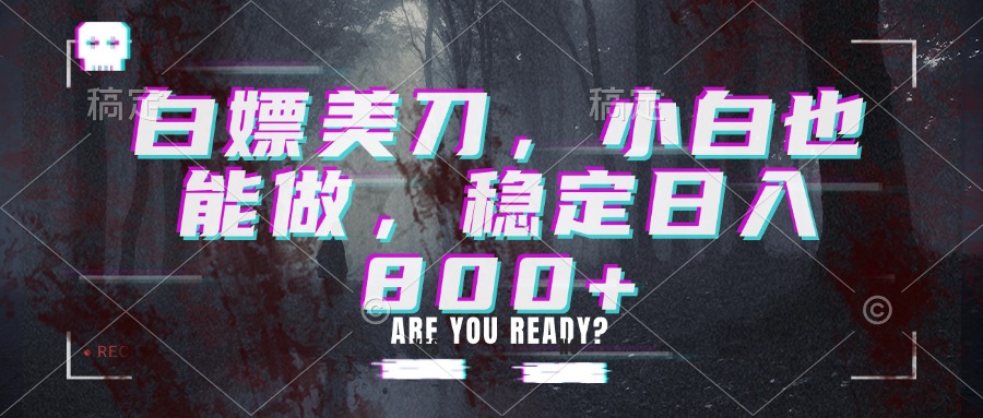 白嫖美刀，小白也能做，稳定日入800+-冒泡网