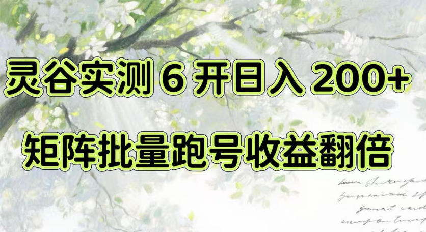 一台电脑就能做！灵谷实测6开日入200+，矩阵批量跑号收益翻倍【揭秘】-冒泡网