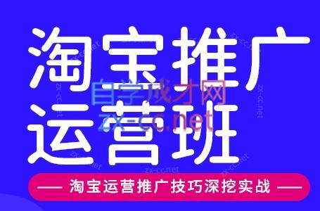 美迪电商·淘宝高级运营班+推广运营班(更新9月)-冒泡网
