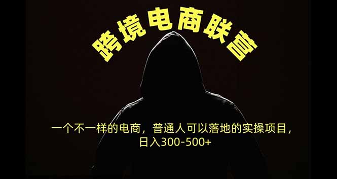 跨境电商联营，一个不一样的电商，普通人可操作日入300-500+-冒泡网