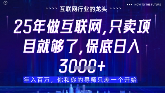 什么！25年你还在找项目做？风口早就变了，卖项目才是稳挣不赔【揭秘】-冒泡网