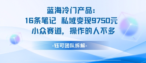 蓝海项目：16条笔记私域变现9750米小众赛道操作的人不多-冒泡网