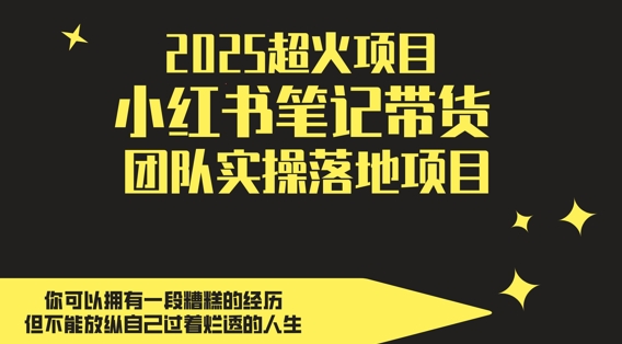 2025超火项目，副业最佳选择，小红书笔记带货团队实操落地项目，，轻松日入5张-冒泡网