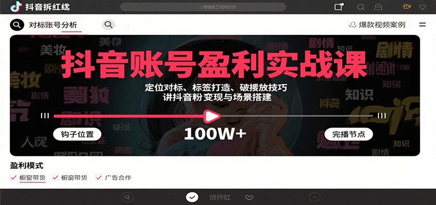 抖音账号盈利实战课，定位对标、标签打造、破播放技巧，讲涨粉变现与场景搭建-冒泡网