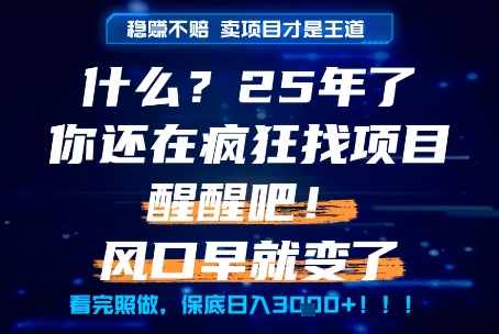 什么？25年你还在疯狂找项目做，醒醒吧，看完这些你全都懂了！【揭秘】-冒泡网