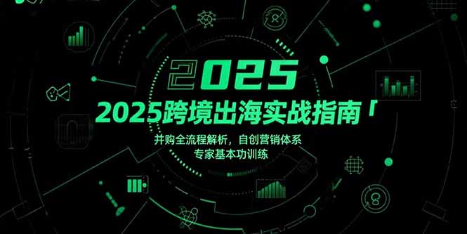 2025跨境出海实战指南，并购全流程解析，自创营销体系，专家基本功训练-冒泡网