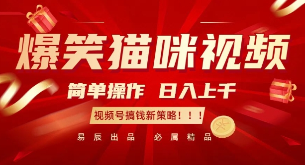 爆笑猫咪视频：简单操作，日入过K，视频号搞钱新策略【揭秘】-冒泡网