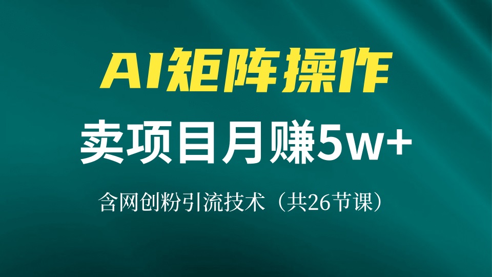 网创IP打造课，借助AI卖项目月赚5万+，含引流技术(共26节课-冒泡网