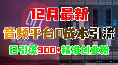 12月最新：音频平台0成本引流，日引流300+精准创业粉-冒泡网