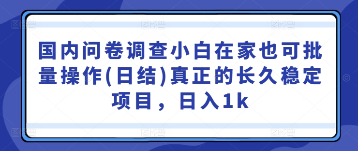 国内问卷调查小白在家也可批量操作(日结)真正的长久稳定项目，日入1k【揭秘】-冒泡网