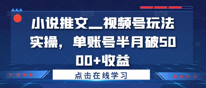 小说推文—视频号玩法实操，单账号半月破5000+收益-冒泡网
