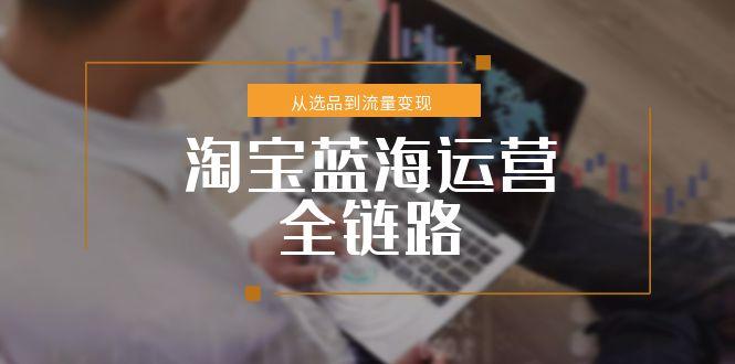 淘宝蓝海运营全链路，从选品到流量变现，小类目突围完整方案-冒泡网