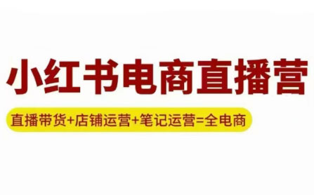 申铭老师·小红书电商直播营(更新)-冒泡网