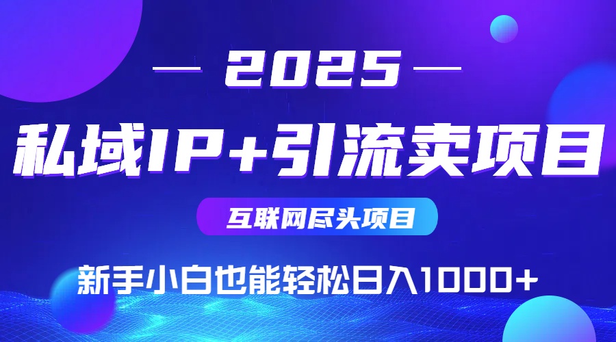 2025网创尽头项目，私域IP+引流，新手小白也能在家日入1000+-冒泡网