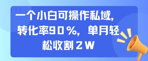 一个小白可操作私域，转化率90%，单月轻松收割2W-冒泡网