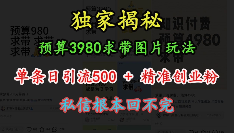 预算3980求带 图片玩法，单条日引流500+精准创业粉，私信根本回不完-冒泡网