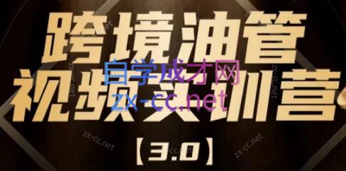 阿蔺Leo·跨境油管视频YouTube实训营(更新2025)-冒泡网