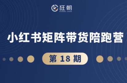 盗坤·抖音小红书视频号短视频带货与直播变现(11-18期)-冒泡网