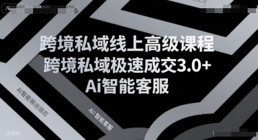跨境私域线上高级课程，跨境私域极速成交3.0+Ai智能客服-冒泡网